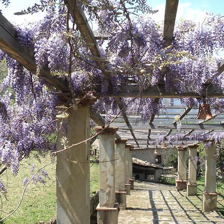 فيلا San Piero Pattiفي Agriturismo Il Daino المظهر الخارجي الصورة