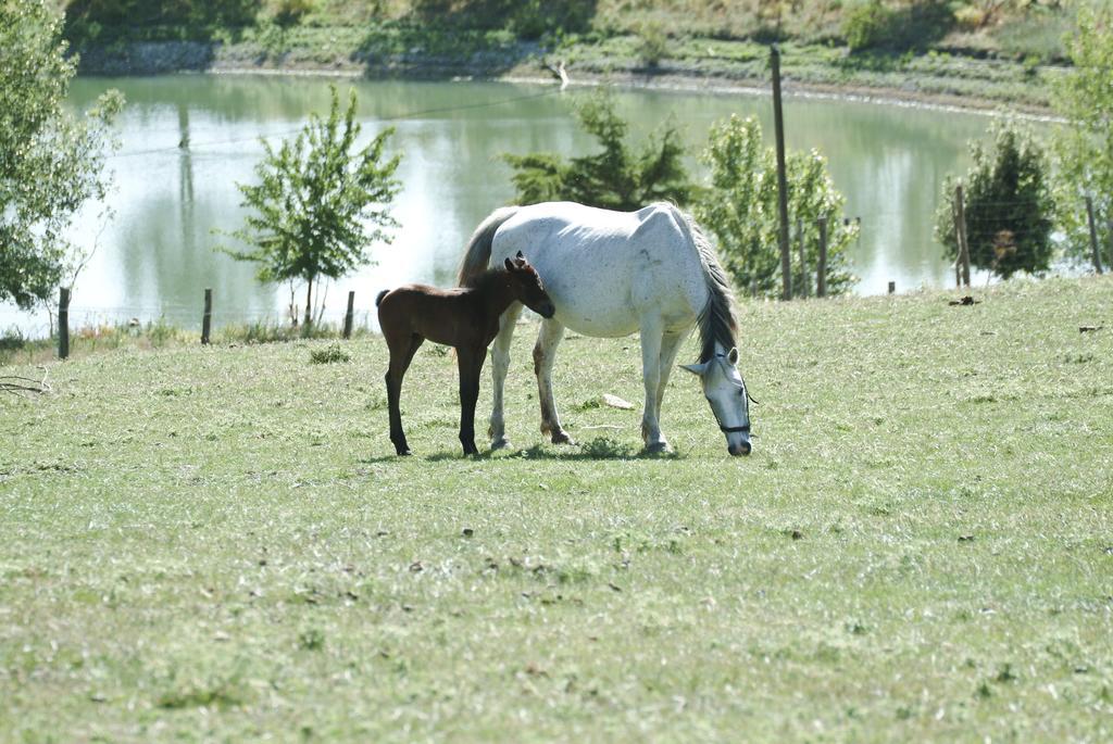 فيلا San Piero Pattiفي Agriturismo Il Daino المظهر الخارجي الصورة