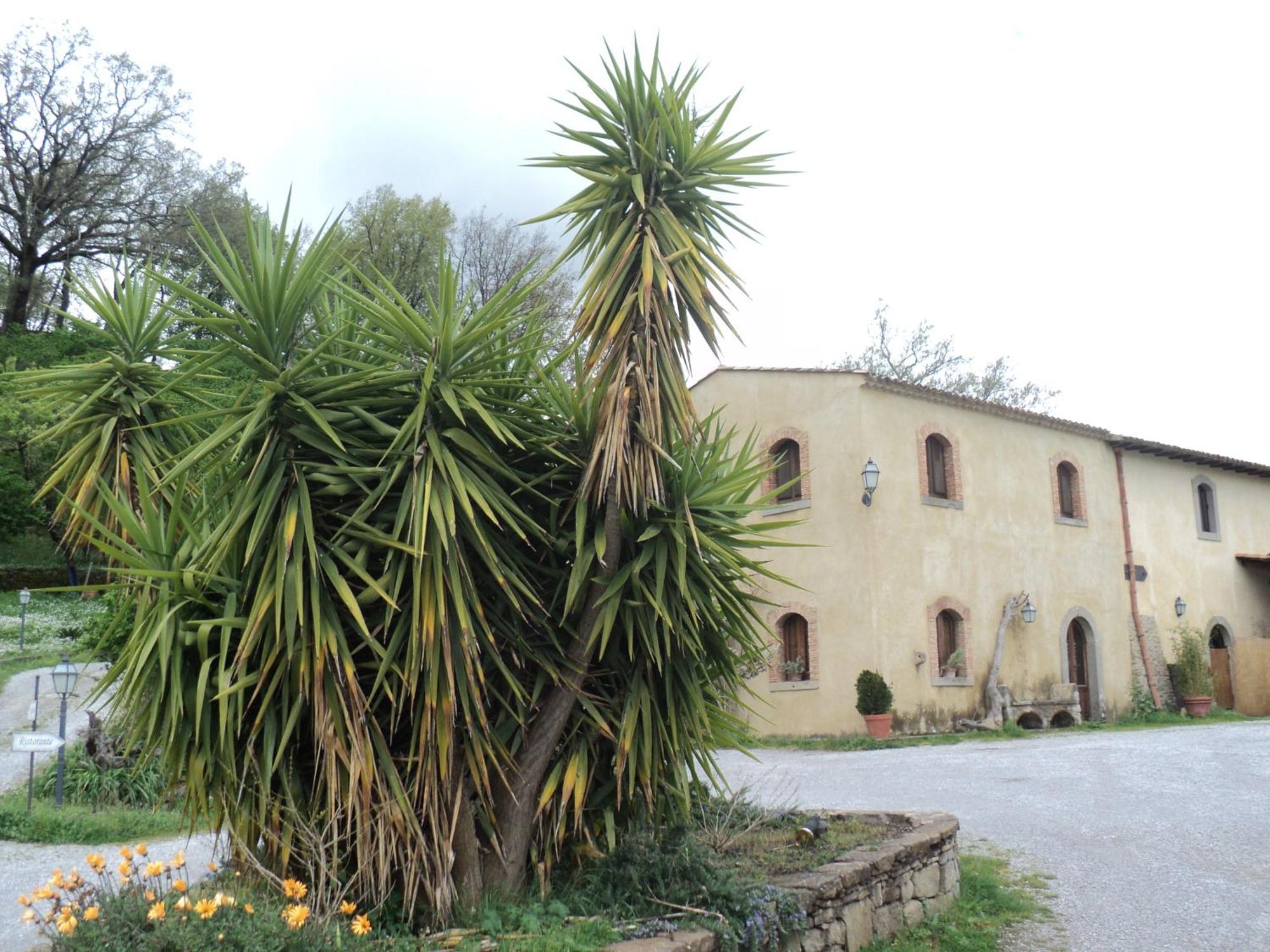 فيلا San Piero Pattiفي Agriturismo Il Daino المظهر الخارجي الصورة