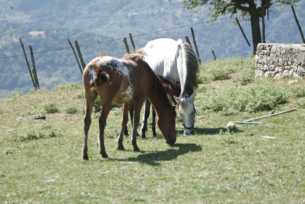 فيلا San Piero Pattiفي Agriturismo Il Daino المظهر الخارجي الصورة