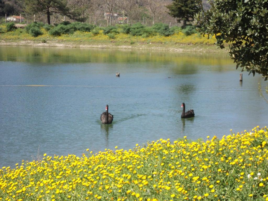 فيلا San Piero Pattiفي Agriturismo Il Daino المظهر الخارجي الصورة